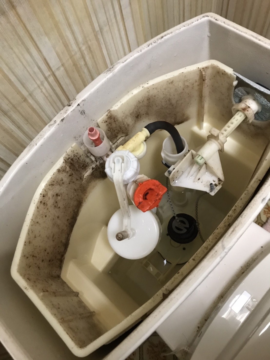 トイレ手洗いタンクの「異音」「水が出ない」は部品交換の修理で解決 水漏れ・つまりトラブルの修理なら水道屋本舗