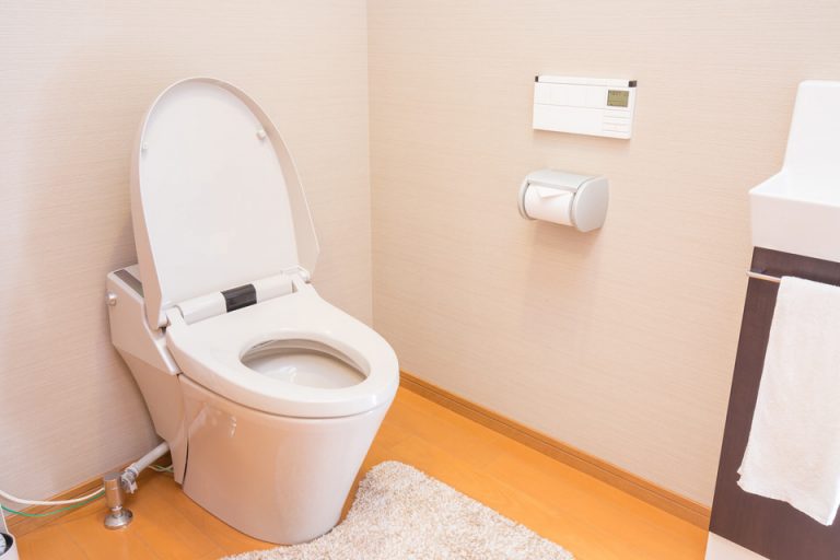 トイレが詰まったらどうする？詰まりの原因と自分でできる対処法 水漏れ・つまりトラブルの修理なら水道屋本舗