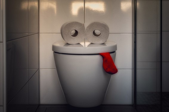 イナックスのトイレを修理する方法を解説 自分でどこまで修理できる 業者に依頼した場合の費用相場も紹介 水漏れ つまりトラブルの修理なら水道屋本舗 イナックスのトイレを修理する方法を解説 自分でどこまで修理できる 業者に依頼した場合の費用相場も紹介 水漏れ つまりトラブルの修理なら水道屋本舗