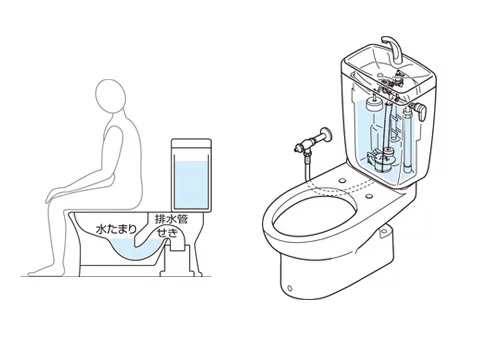 トイレの水位が上がる仕組み