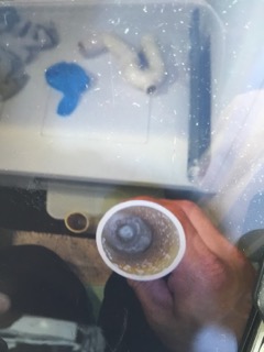 排水