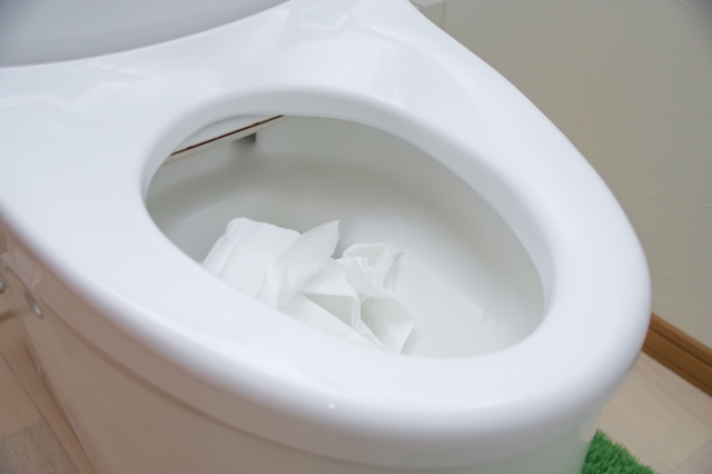 トイレつまり　ペーパー